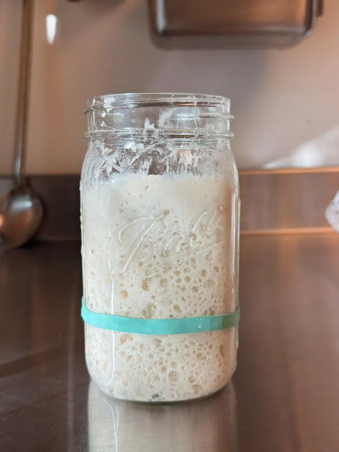 Bubbly, active starter, ready to bake