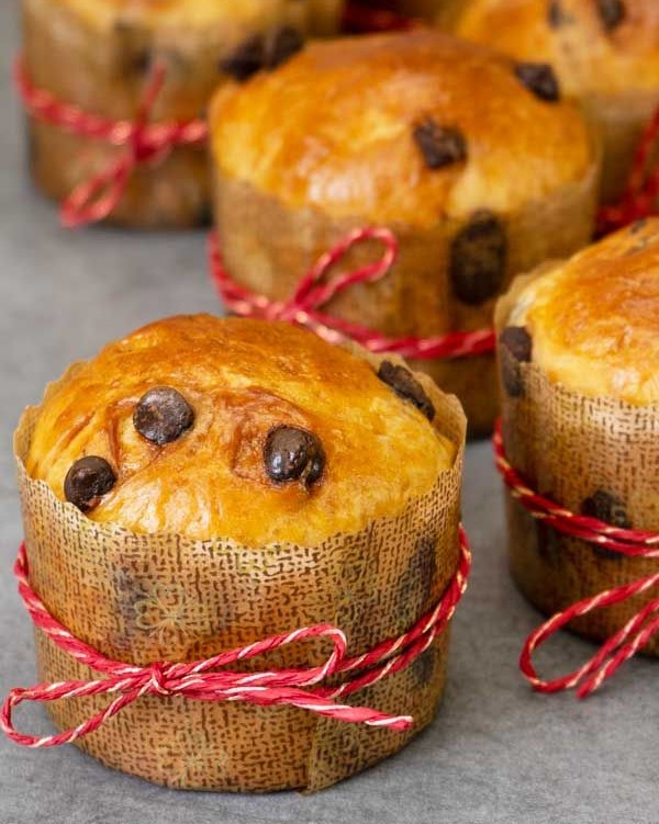 Mini chocolate chip panettones tied with string