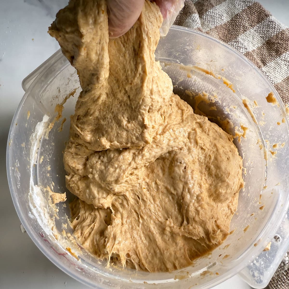 Hand stretching the pumpkin dough in the bowl for a fold