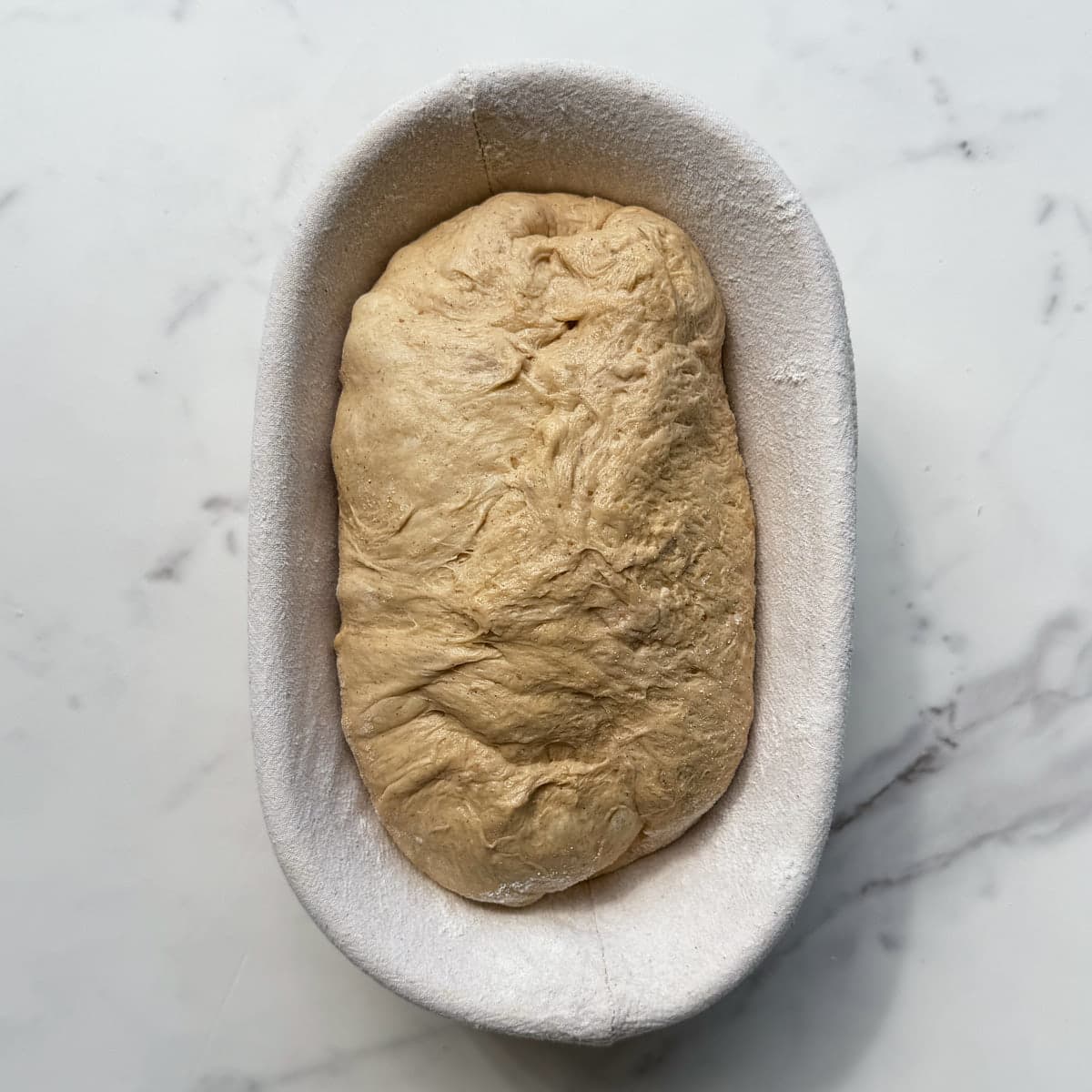 Bread dough resting in a floured banneton