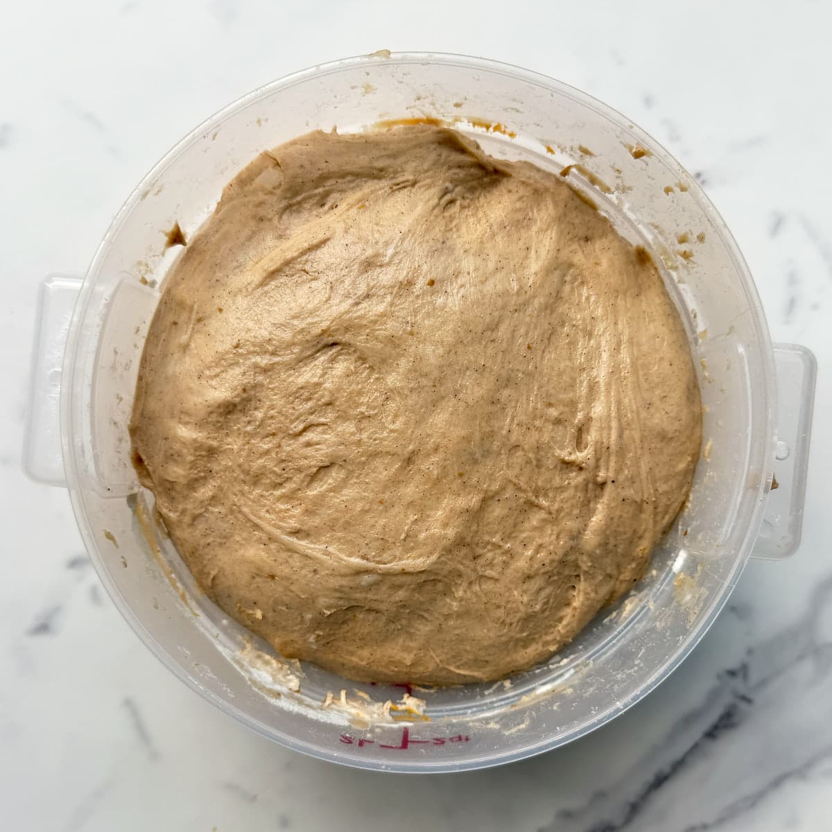 Smooth, fermented pumpkin dough in the bowl