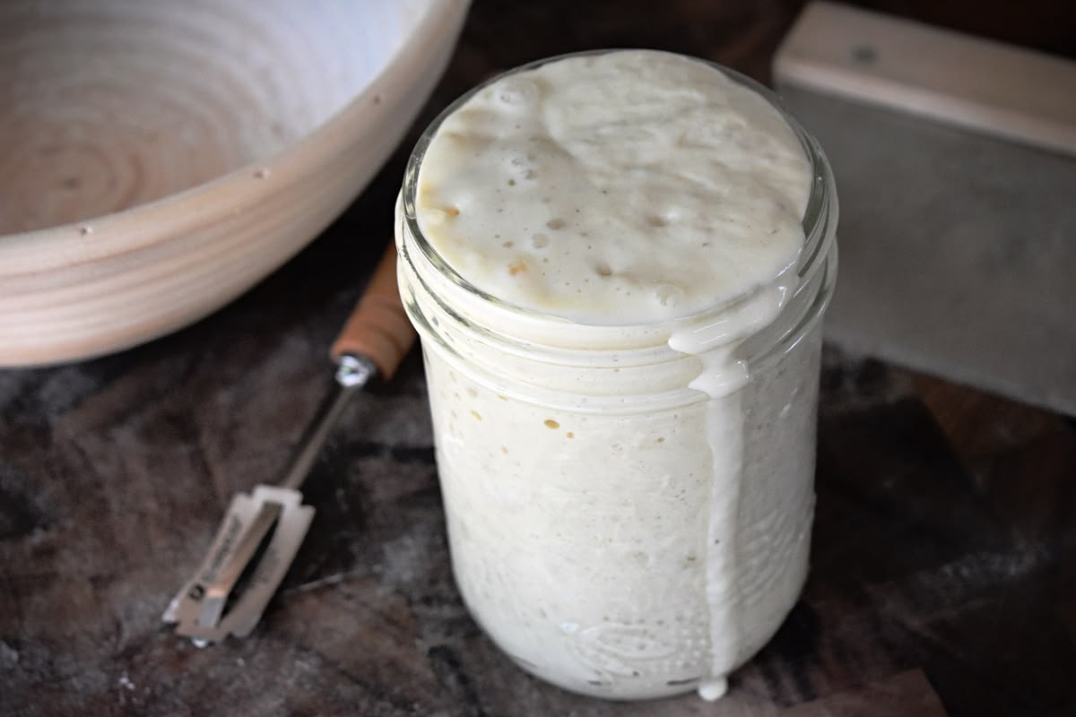 Glass jar with active sourdough starter spilling over, next to a banneton and a bench scraper